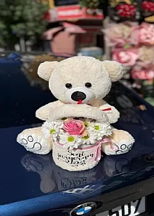 Minnoş Ayıcık Kutuda Pembe Gül Papatya