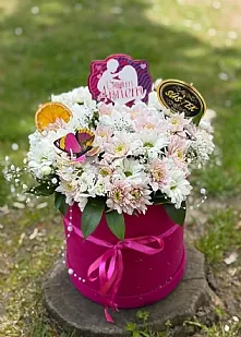 Pembe Kutuda Soft Pembe Beyaz Kasımpatı